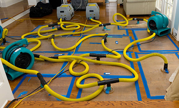 Professional Structural Drying And Dehumidification technician working in Dunbar, WI